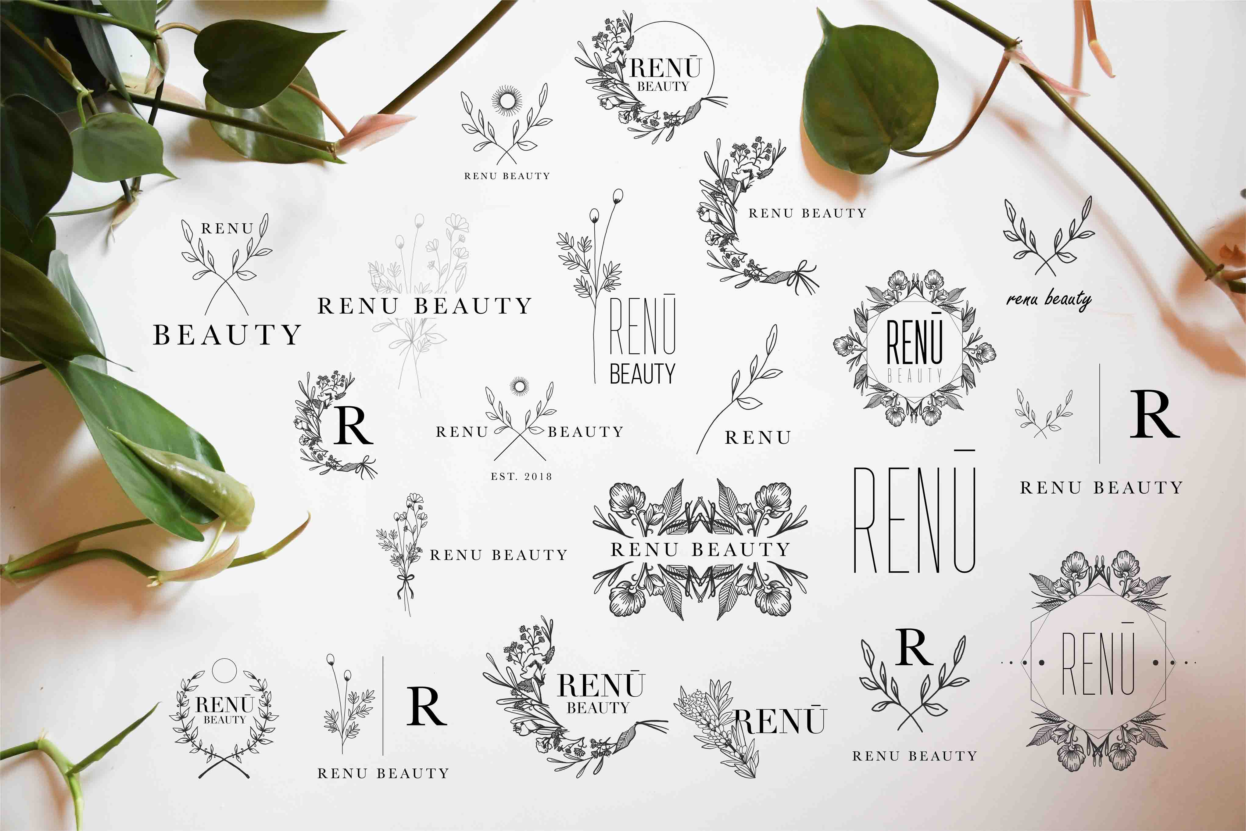 renu logo layout